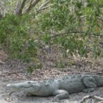 Everglades National Park