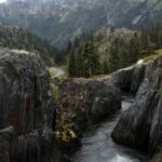 Olympic National Park
